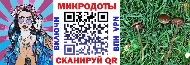 Купить  Осинники  Галлюциногенные грибы MAGIC MUSHROOMS 