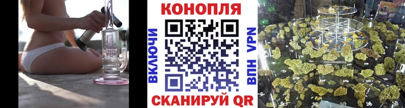 Купить  Осинники  Каннабис ГИДРОПОН 